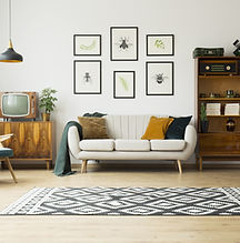 Fresh Living Room