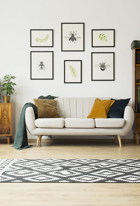 Fresh Living Room