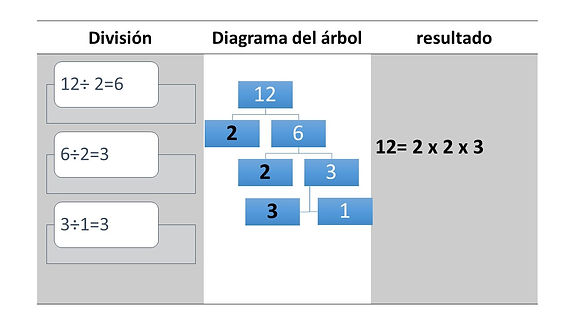 Presentación5.jpg