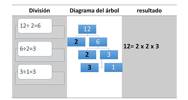 Presentación5.jpg
