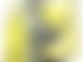 ちらし