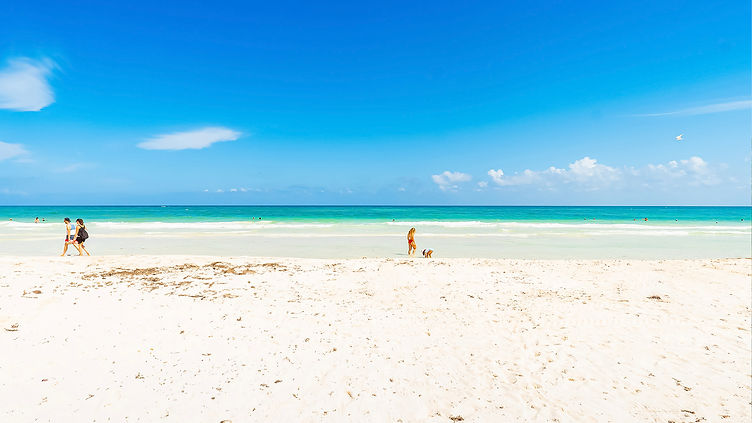 Caribbean beach in a sunny day