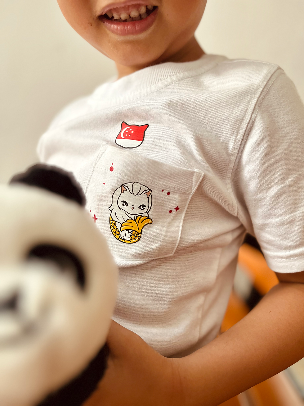 Thumbnail: Singapore Iron-On sticker sheet