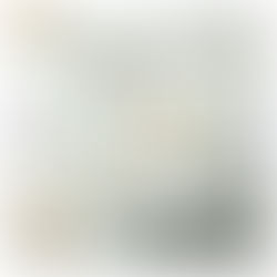 ワークショップ開催のご案内 ~堺~