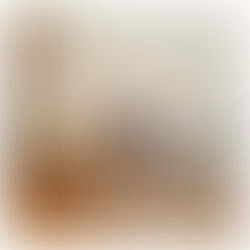 明後日はパンゲアへ!