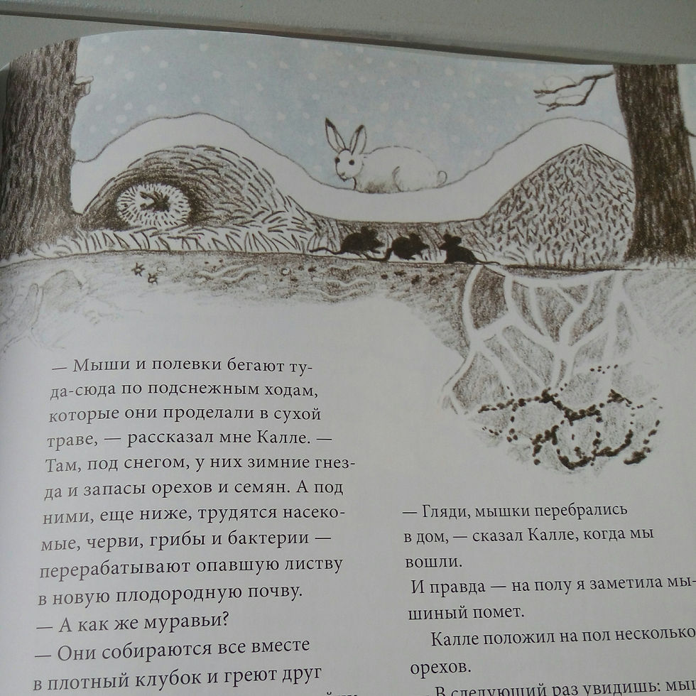 Прев'ю: Календарь Линнеи