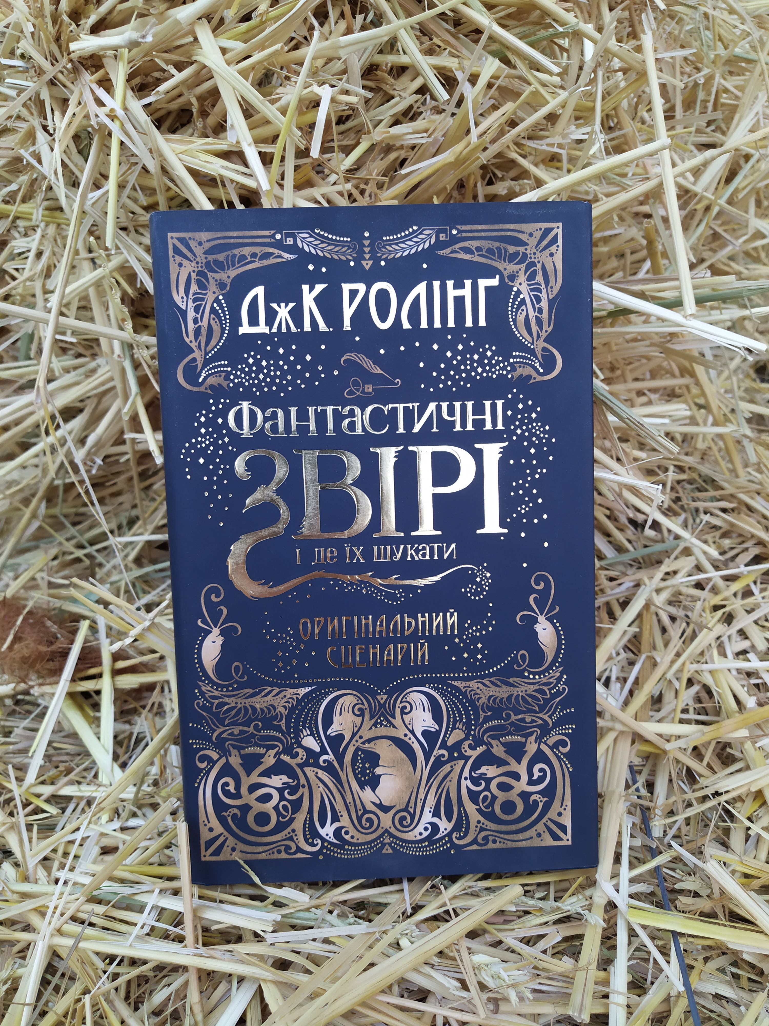 Фантастичні звірі і де їх шукати, Кіносценарій