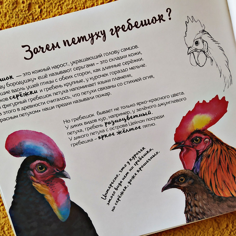 Прев'ю: Петух и Ко