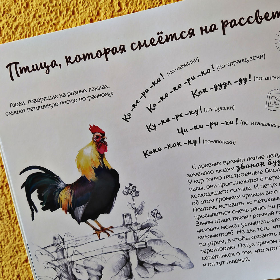 Прев'ю: Петух и Ко