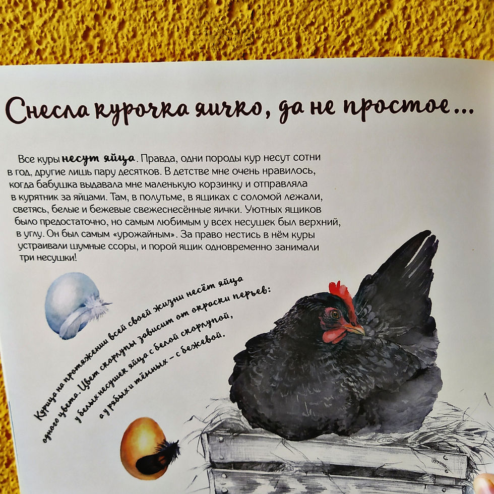 Прев'ю: Петух и Ко