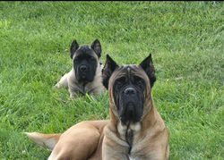 Screenshot_20241120_103135_Photos