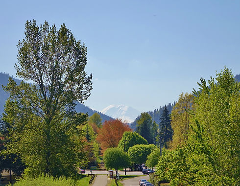 The mountain is out. Mount Rainier pops up in so many places on clear days in Washington s