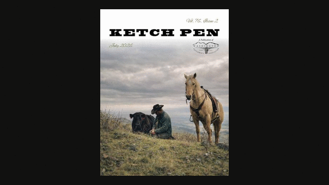 July Ketch Pen
