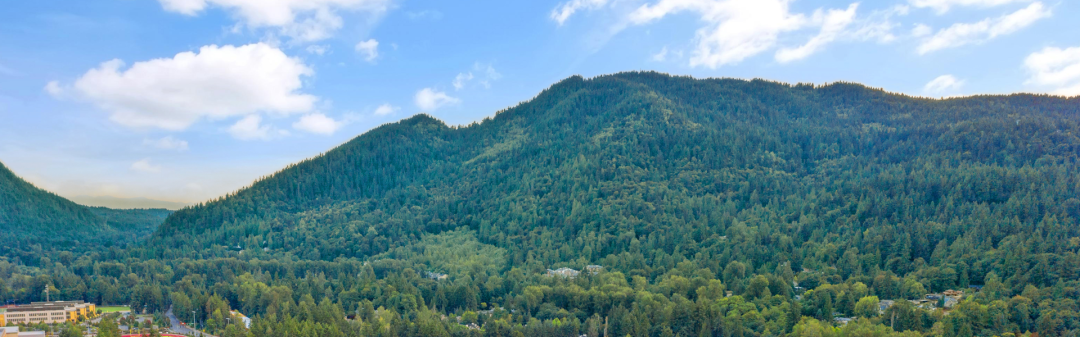 #12 Issaquah-View-of-Tiger-and-Cougar-Mountain-from-Downtown-Issaquah.png.webp