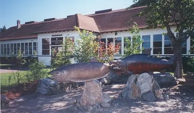 #15 Issaquah Hatchery.jpg.webp