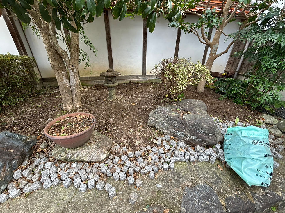 庭木の根元、植木鉢と庭石の間の足元