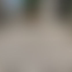 白砕石を敷いた庭