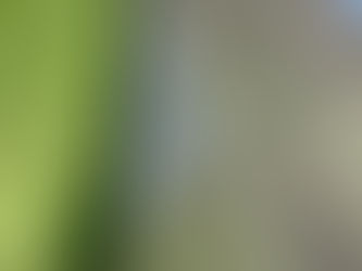 人工芝・目隠しフェンス