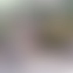 掃除完了後のお庭