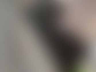 目隠しフェンス