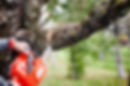 bassai1_720-480-1.jpg