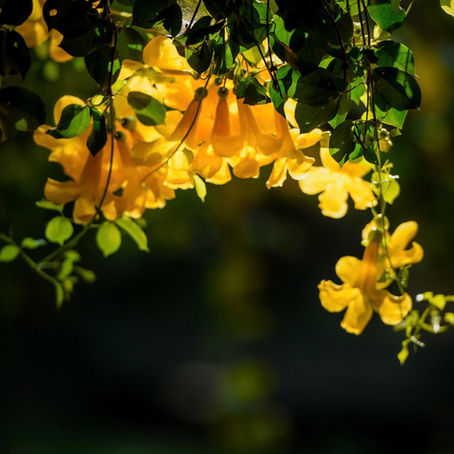 Cùng Đi Trên Đường Vui