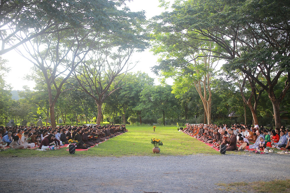 THƯ NGỎ | YỂM TRỢ QUỸ THỰC PHẨM CHO CHÚNG XUẤT SĨ