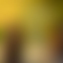 Khoá Tu Tuần Chánh Niệm từ ngày 24/04- 01/05/2026