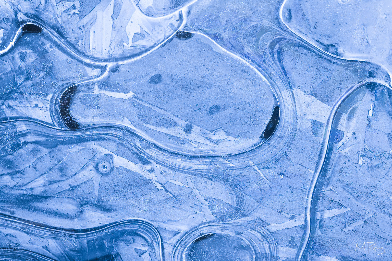Abstract close-up of intricate ice formations with swirling lines and textures in cool tones. By Michael Rung Photography
