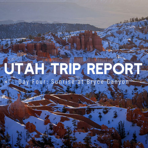Utah Trip Report: Day Four / One Last Outing at Bryce Canyon