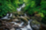 Torc Waterfall cascades over mossy rocks in a lush green forest, creating a serene woodland scene.