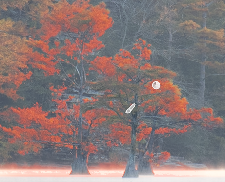 An overlay showing a mask created by subtracting and inverting a mask from the primary mask in Lightroom