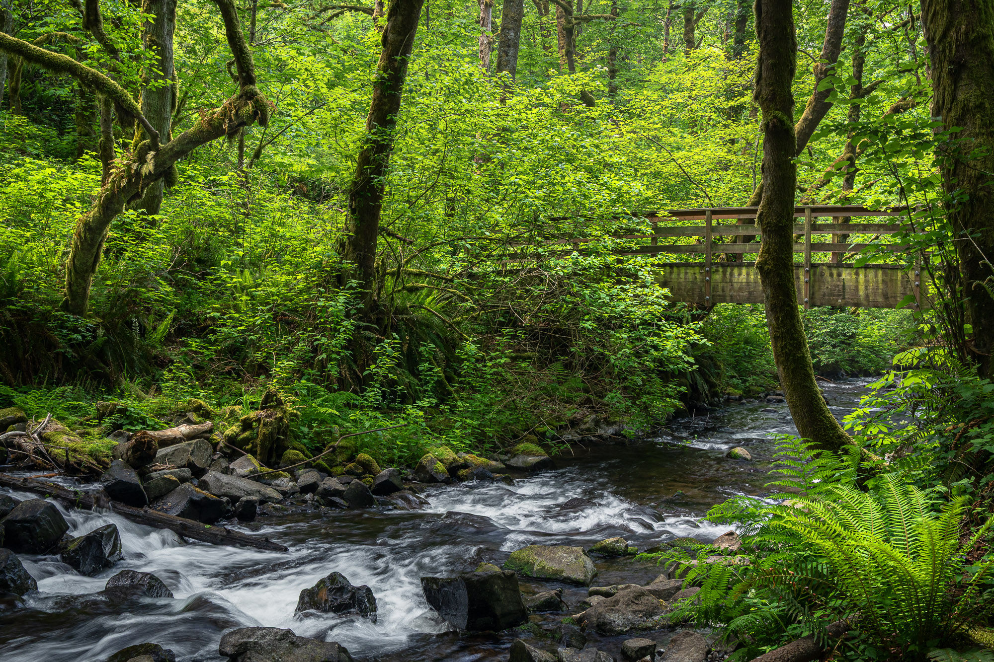 The stream below Bridal Veil in Oregon flows under a wooden bridge, surrounded by lush green forest. By Michael Rung