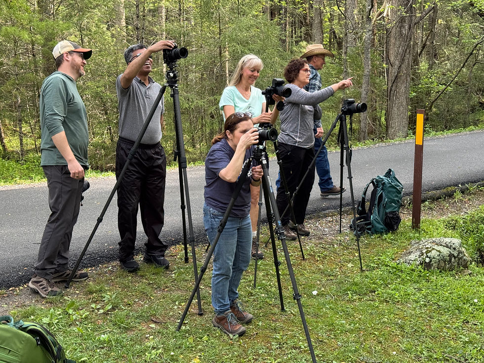 A nature photography workshop led by Michael Rung and Jeffrey Tadlock in Smoky Mountains National Park.