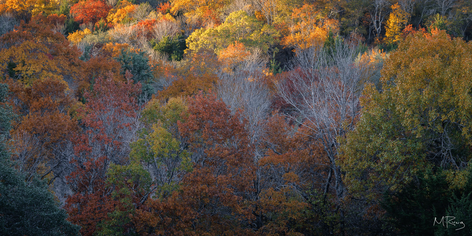 Panorama view of fall colors near Fort Worth Texas, Eagle Mountain Park, by Michael Rung