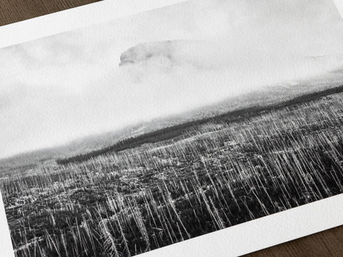 Episode 09 - The Art of Printing: Enhancing Your Photography Experience