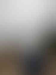 A very foggy scene of trees around a lake, with a camera set up to take a photo