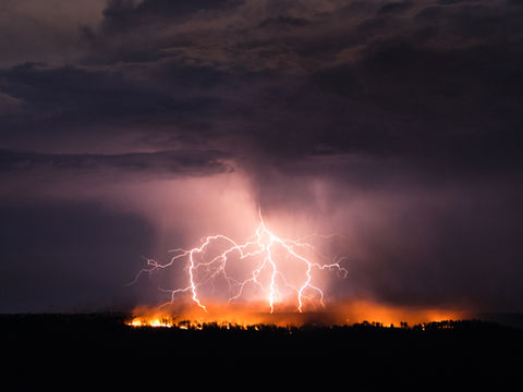 Episode 27 - Working the Scene vs Moving On in Nature Photography