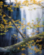 Autumn leaves and a delicate spider web frame a cascading waterfall in soft, serene light. By Michael Rung Photography