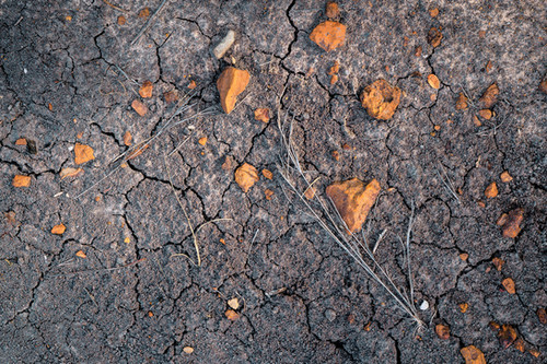 Parched | Fine Art Photography Prints by Michael Rung