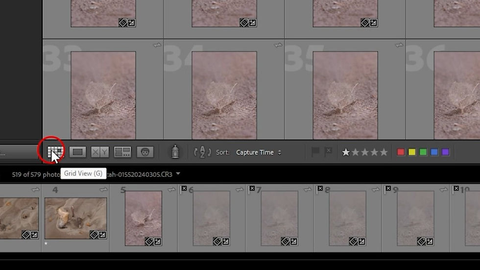 Lightroom Classic interface showing thumbnails of images in grid view. A red circle highlights the "Grid View" button.