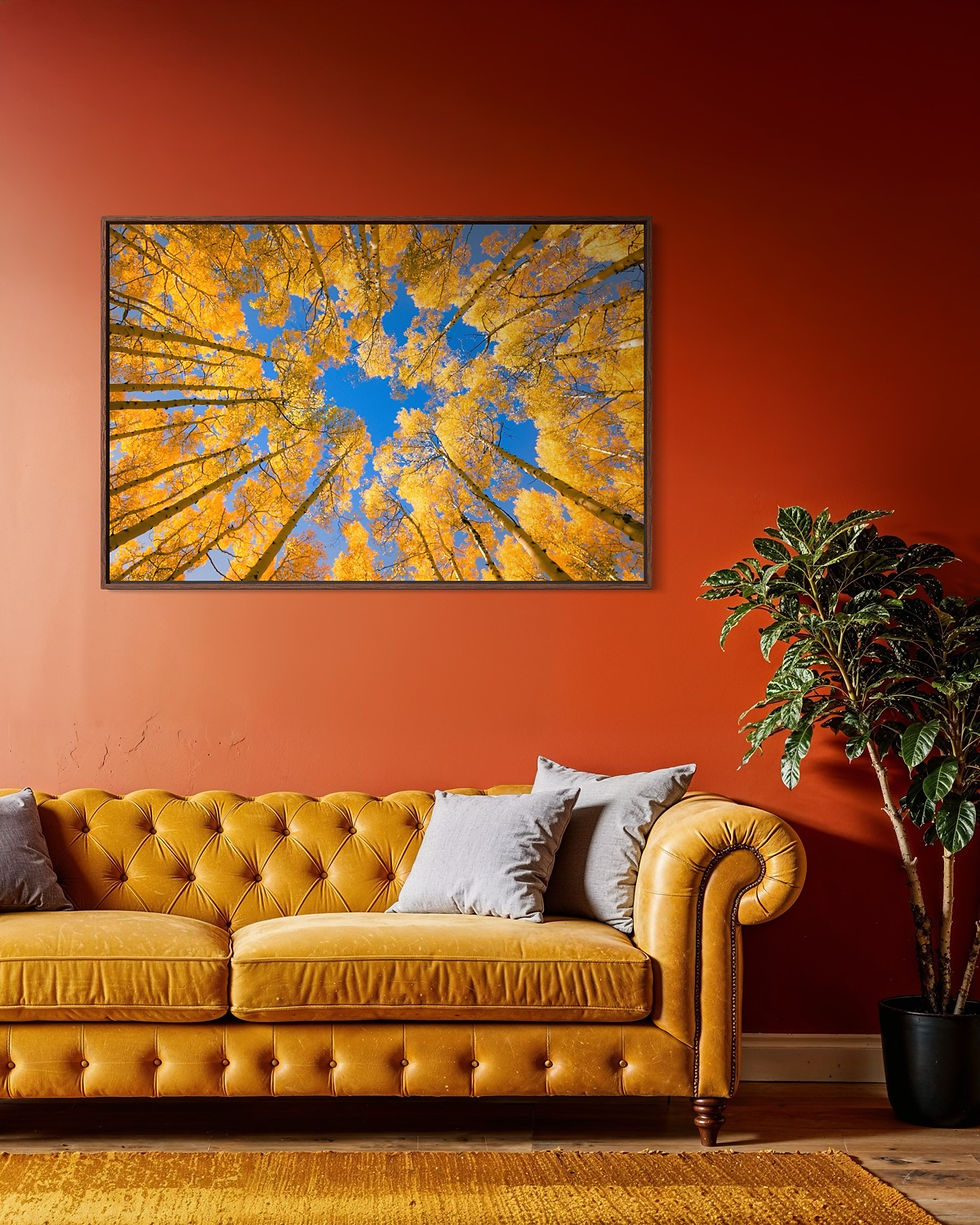 Golden aspen trees stretch skyward, forming a vibrant canopy against a clear blue sky. By Michael Rung Photography