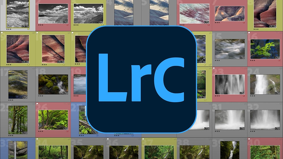 My Pro Tips for Using Ratings & Color Labels in Lightroom Classic