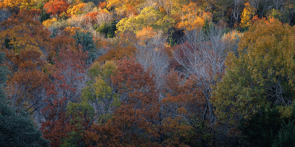 Panorama view of fall colors near Fort Worth Texas, Eagle Mountain Park, by Michael Rung