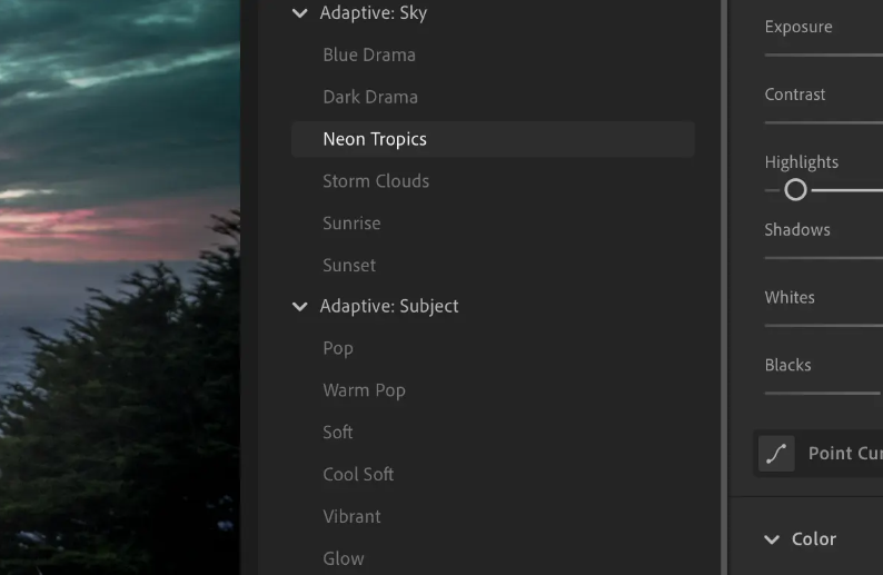 Screenshot of adaptive presets for Select Sky and Select Subject in Lightroom