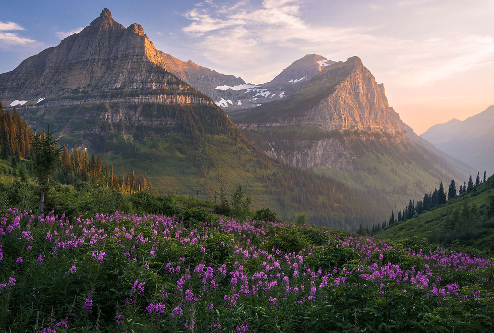 Sunset in Glacier National Park near the Weeping Wall overlook