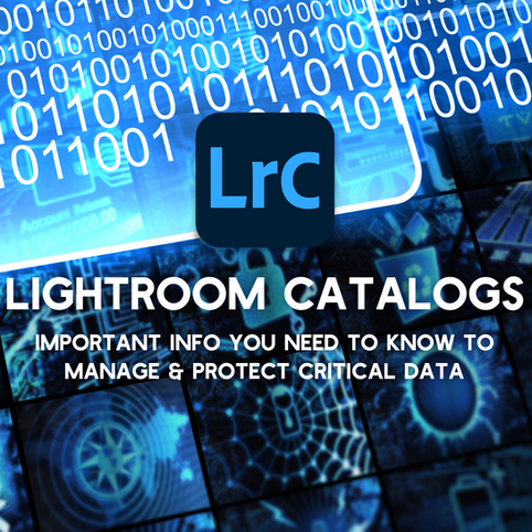 Working with Lightroom Catalogs