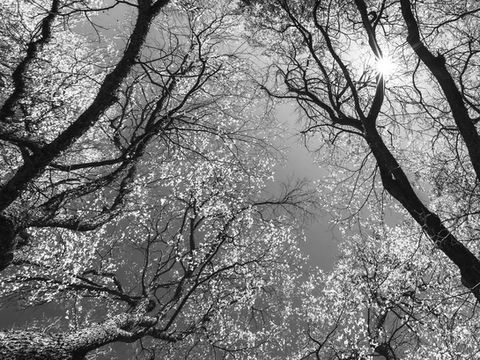 How to Find Hidden Gems in Your Photo Archive