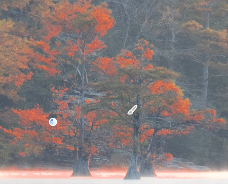 An overlay of a mask intersection synced from Lightroom Classic to Lightroom CC