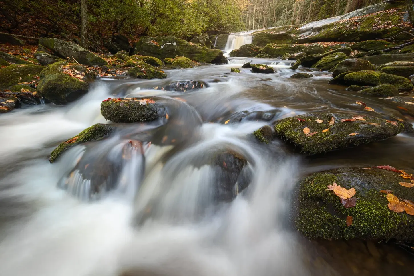 Smoky Mountains stream with mossy rocks and fall leaves.